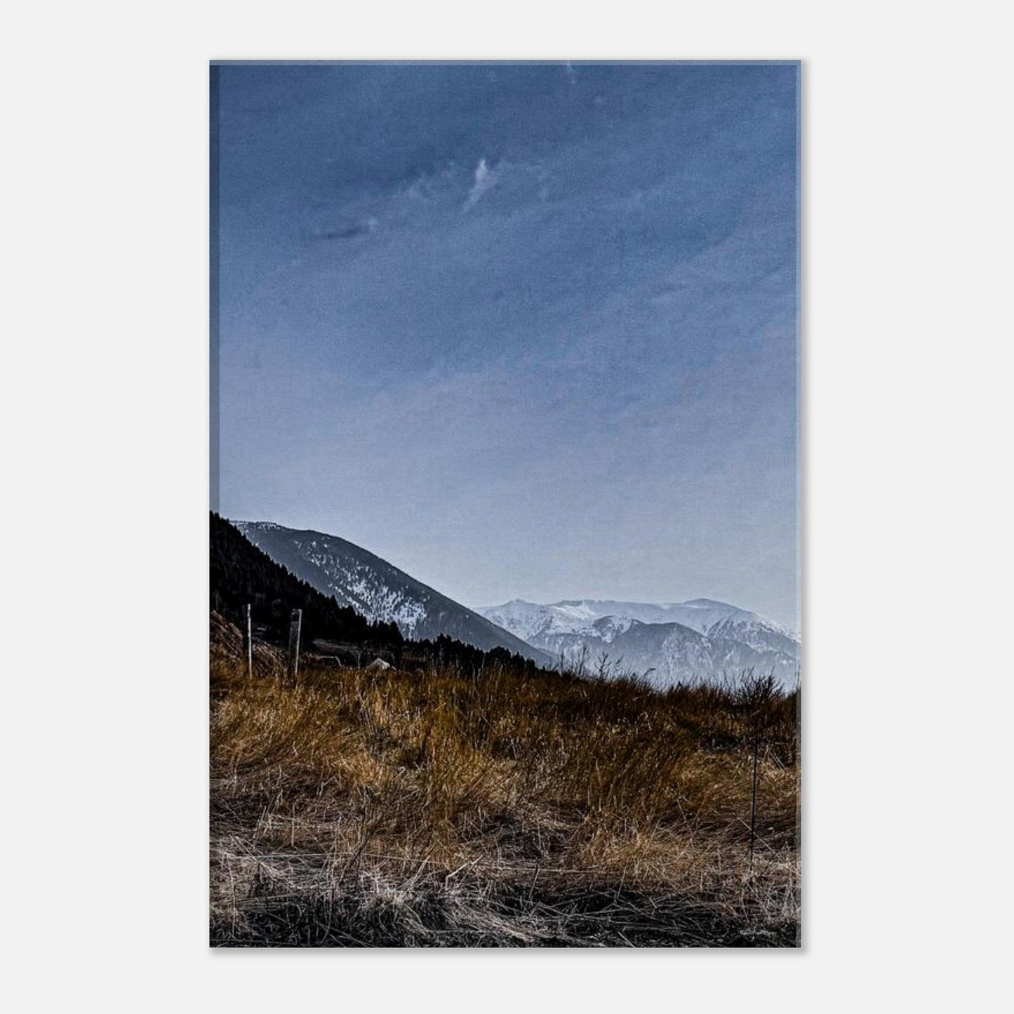 7dea3b80-55b0-4ae9-8783-ebe04151d64e