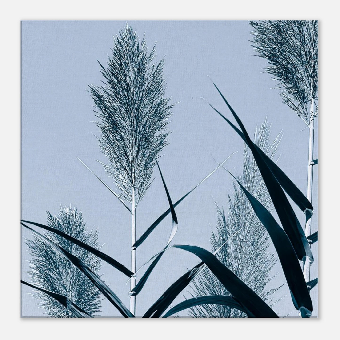 7def48f1-f9f0-46b2-899c-3ea1001e3067