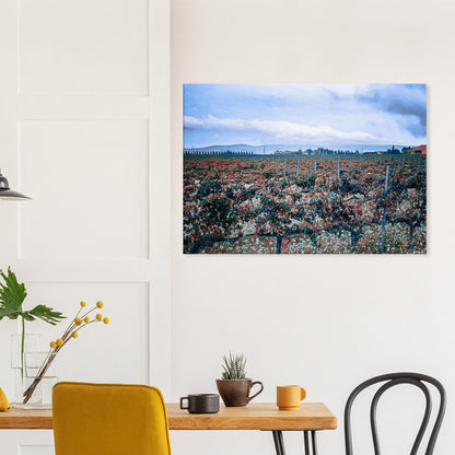 7dfa52aa-12d9-408b-a0be-e9b633c0ae50