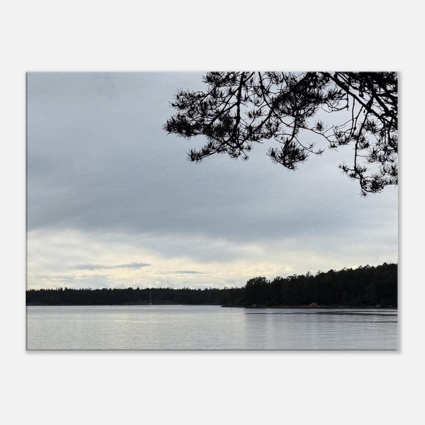 7e01b41d-34c2-400a-abd9-1ec8af7d61e6