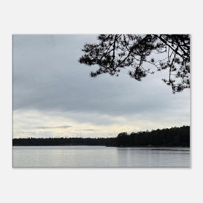 7e01b41d-34c2-400a-abd9-1ec8af7d61e6