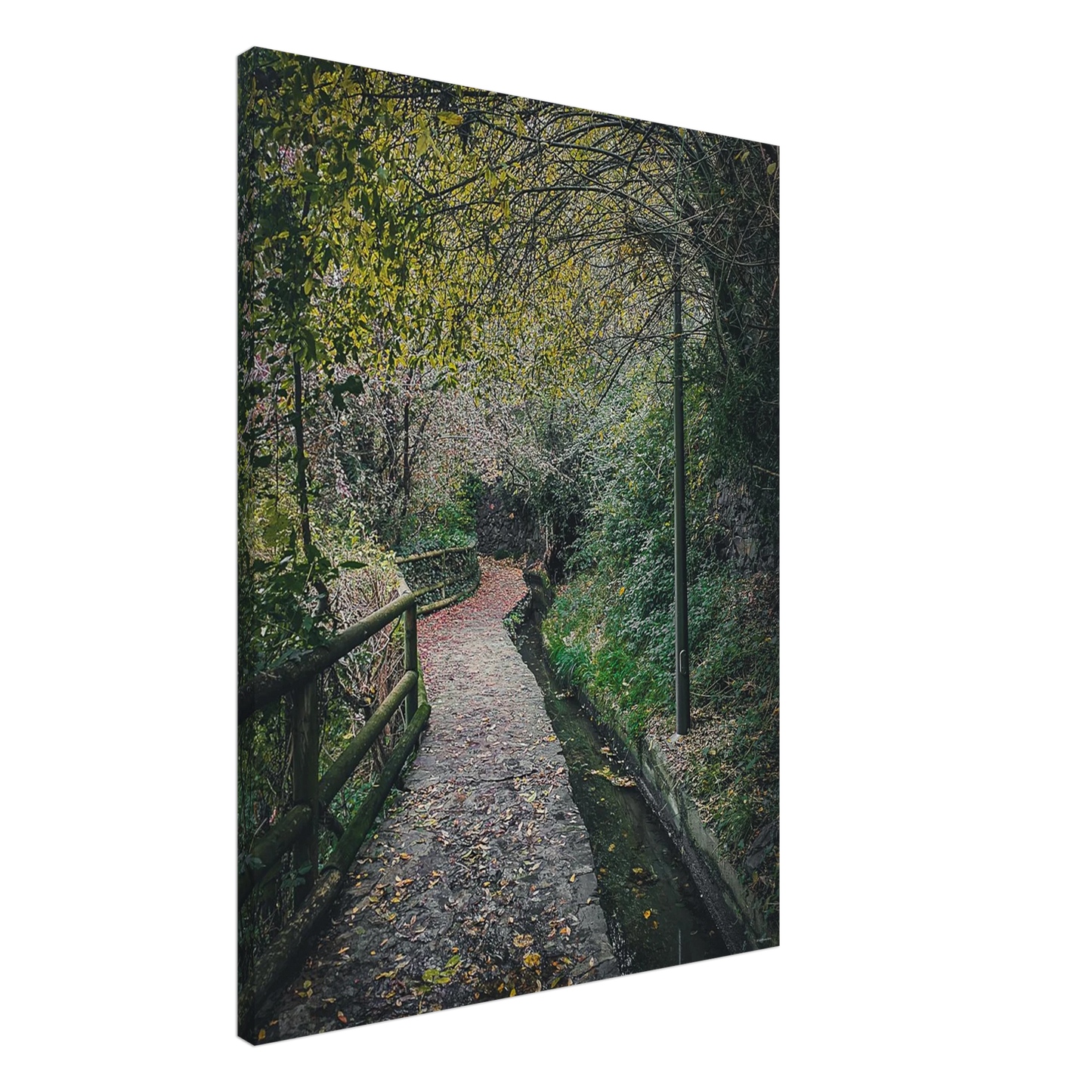 7e0b9406-a729-451f-928f-9971bc8fa30a