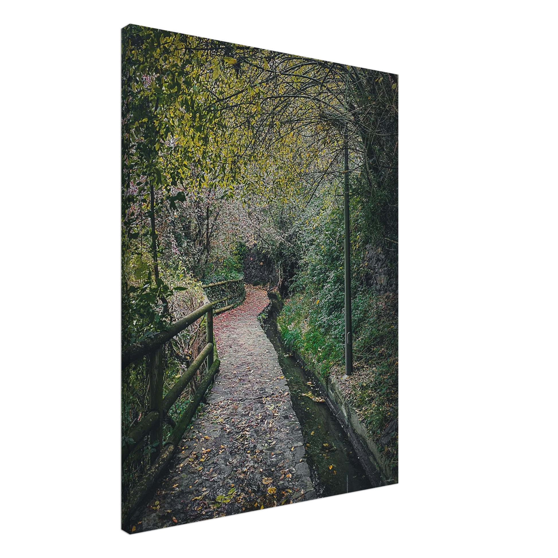 7e0b9406-a729-451f-928f-9971bc8fa30a