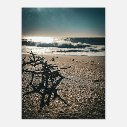 7e1adb85-59aa-4d07-b8de-b032db51b3e6