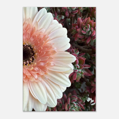 7e255d1c-b944-4b7d-a3e1-94df6adeb582