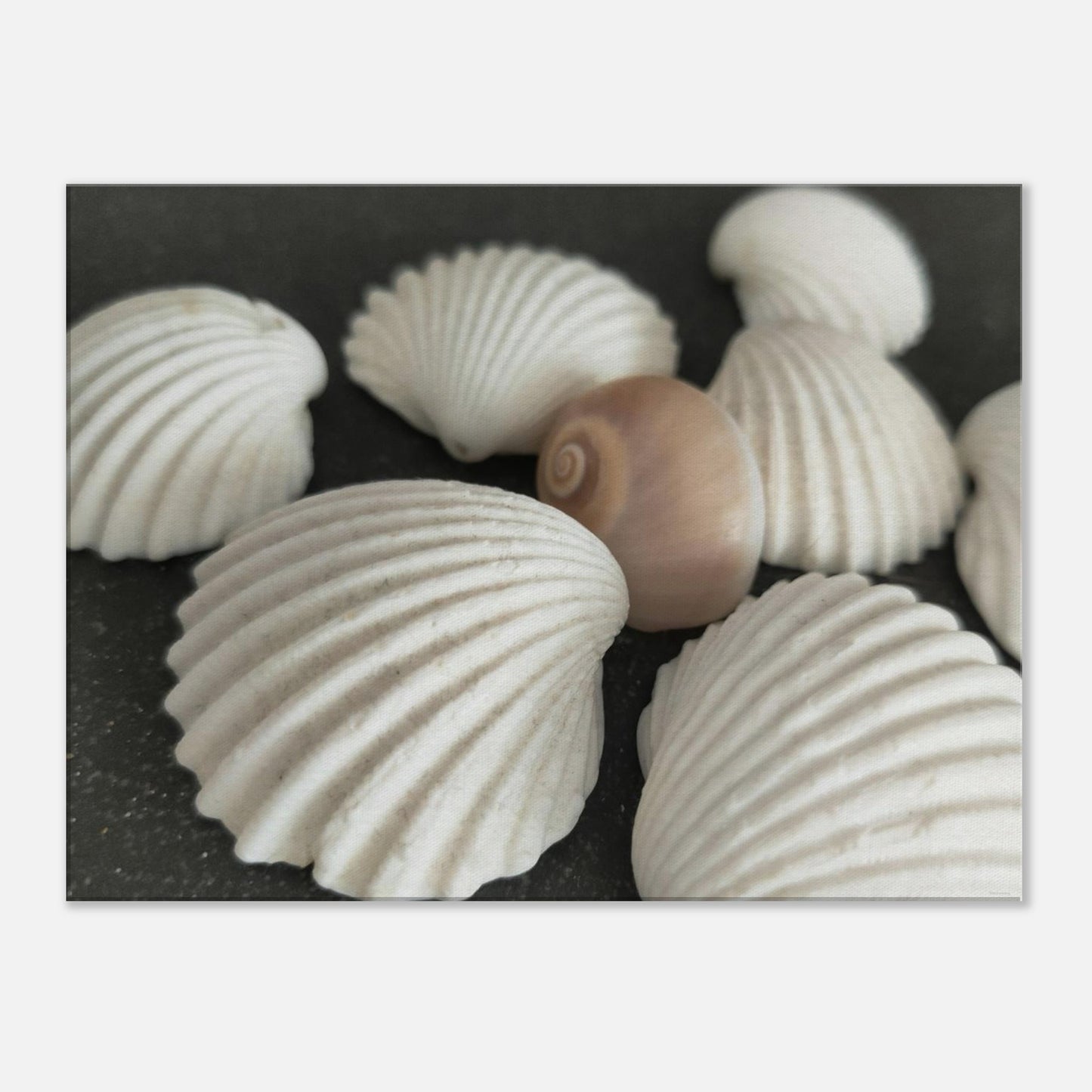 7e807c85-154d-41e3-b5bb-740ca74a0e55