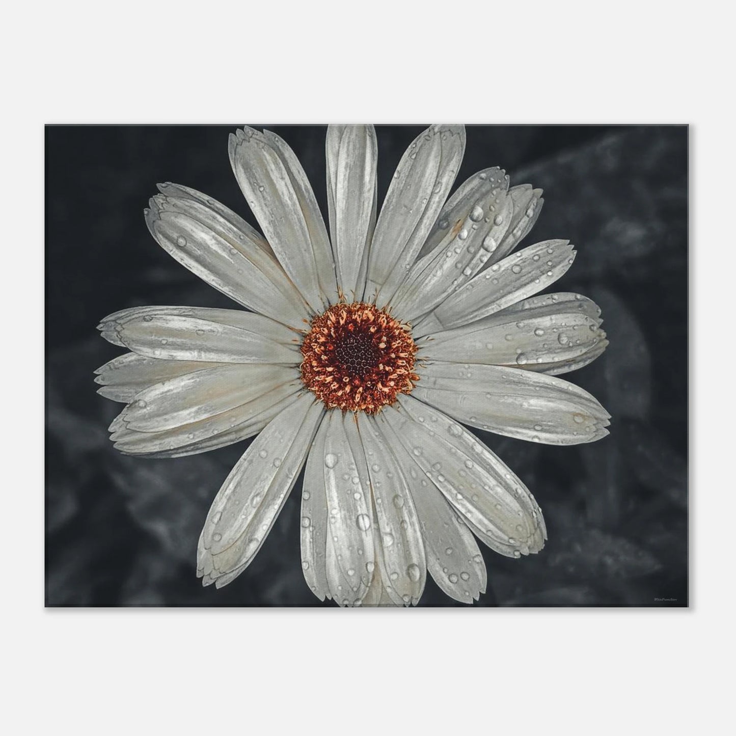 7e9fbcd2-be12-462e-a708-598ecc1db6e4