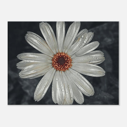 7e9fbcd2-be12-462e-a708-598ecc1db6e4