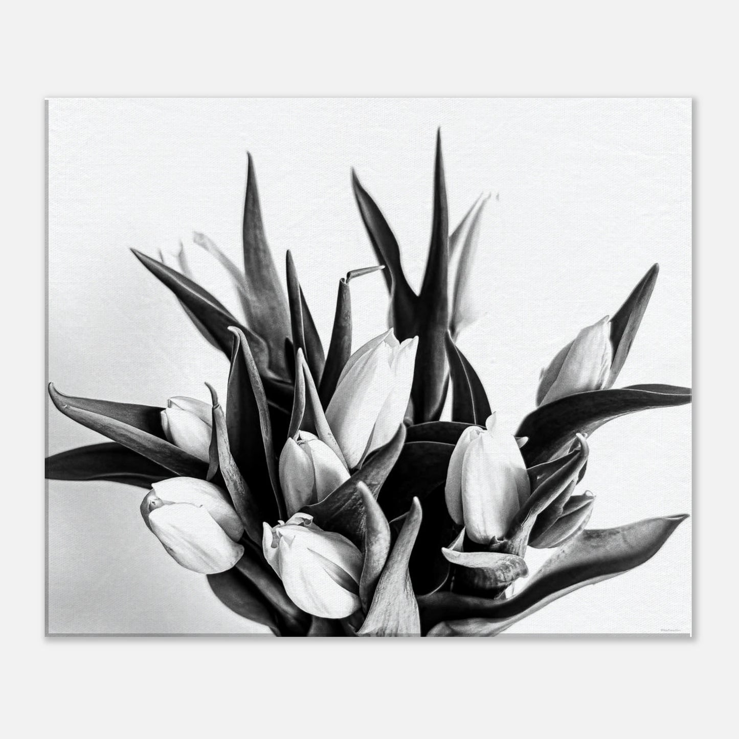 7ea702c1-772d-4641-946e-ffafb81e6b1c