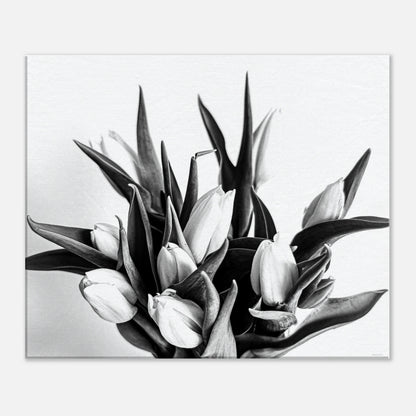 7ea702c1-772d-4641-946e-ffafb81e6b1c