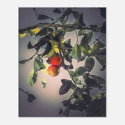 7eae23b1-c07c-46ed-bc3d-c3f42858c607