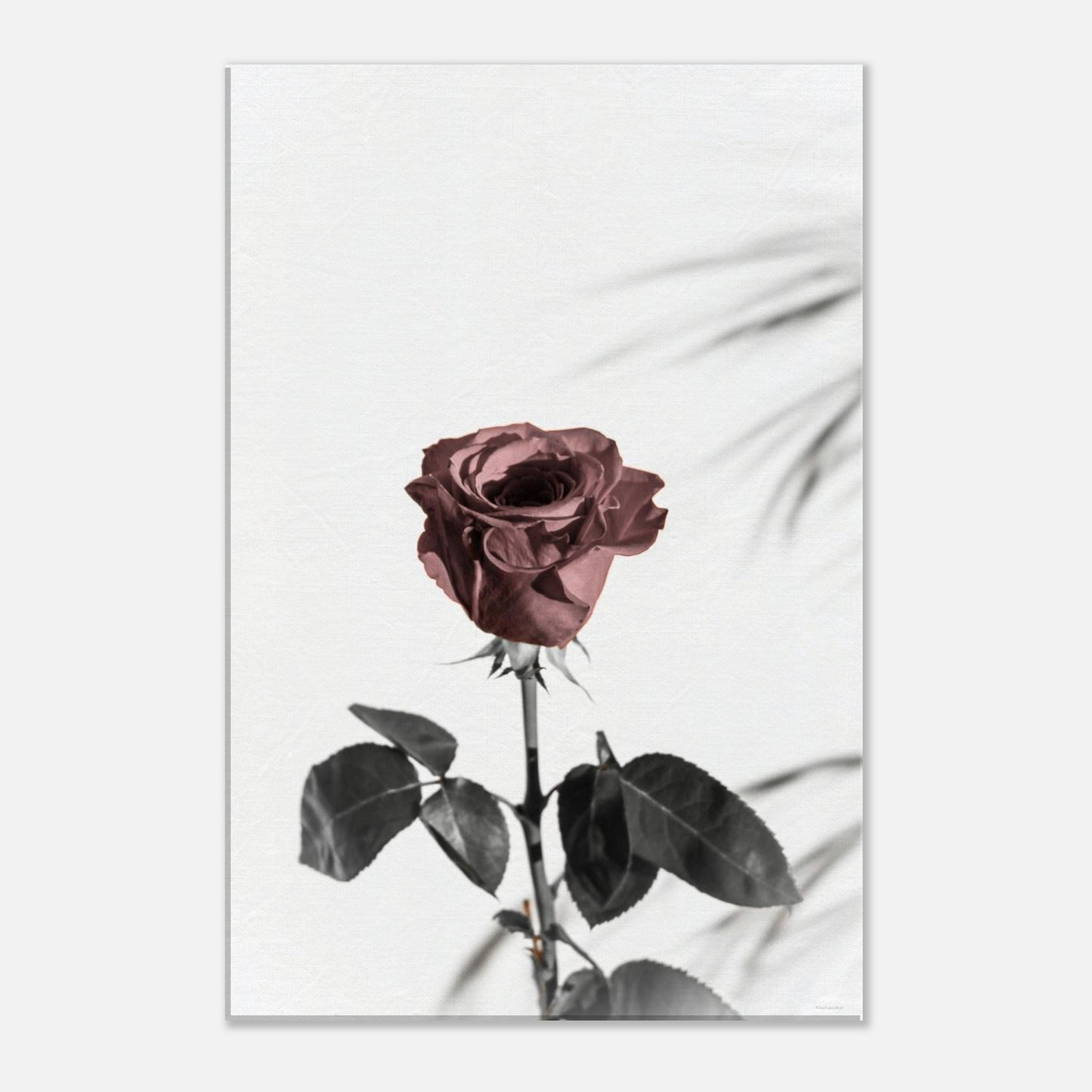 7eb6deac-aa27-4dff-ad2a-5c630cf7b37d