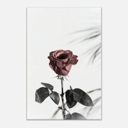 7eb6deac-aa27-4dff-ad2a-5c630cf7b37d