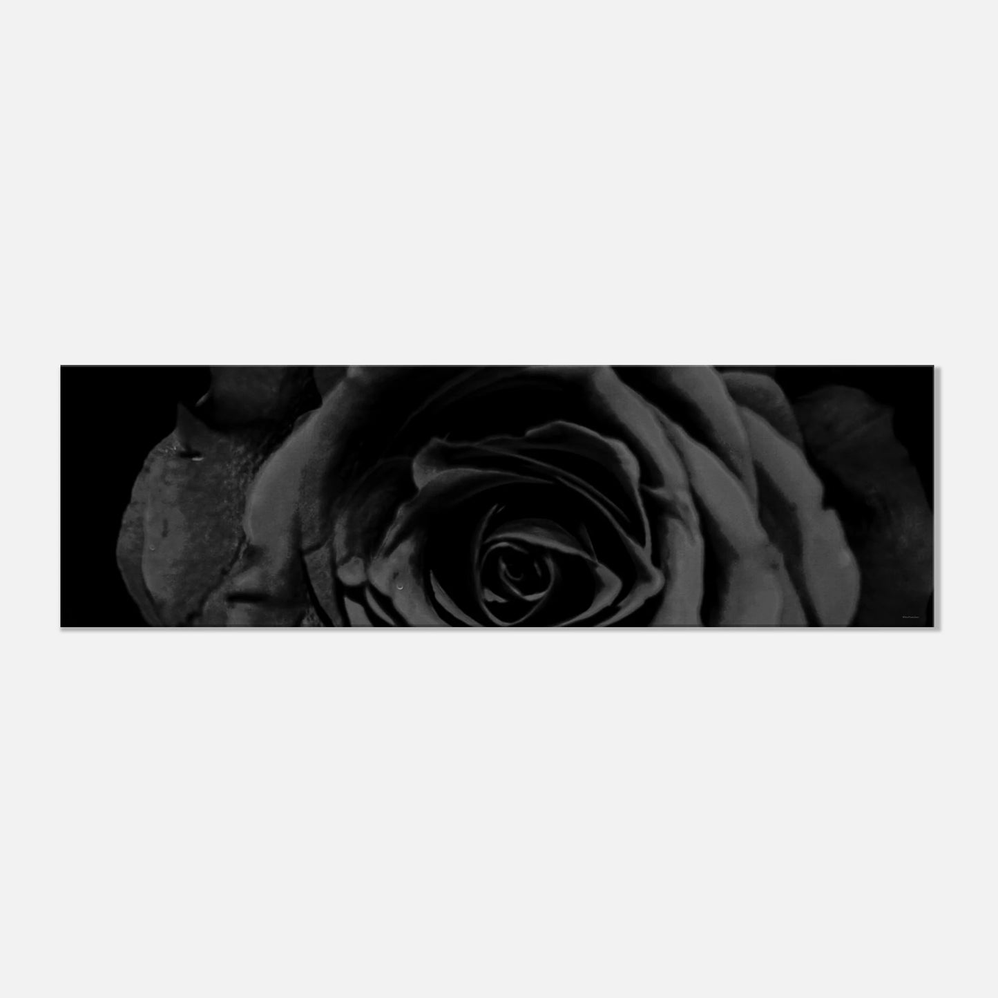 7ed6051a-d044-4d8e-953e-16374e4fdb65