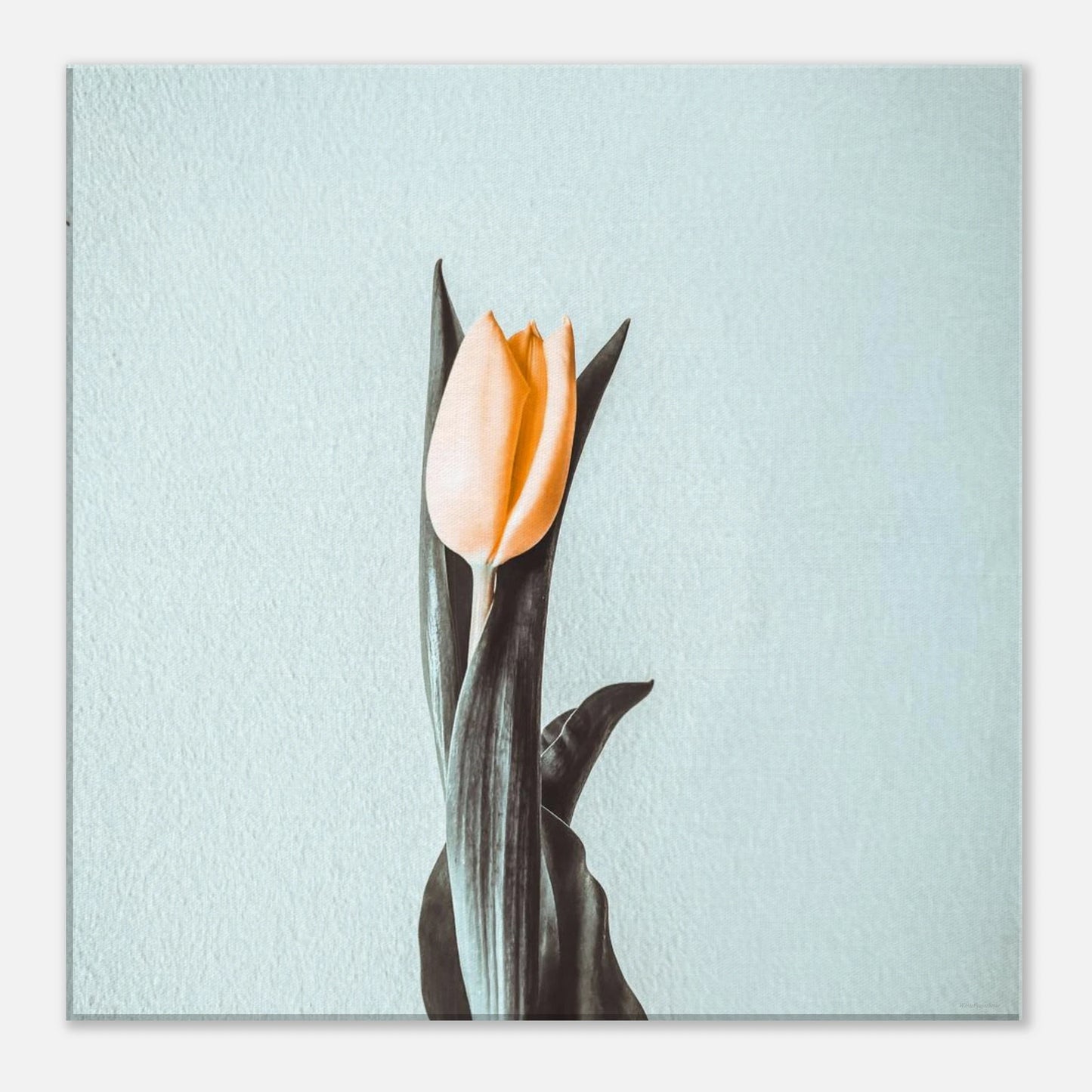 7f21e6ad-0c04-41d6-bf0e-e8e318c63c1a