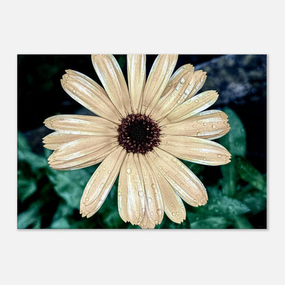 7f294625-c449-458d-8ebd-ff97d583c295