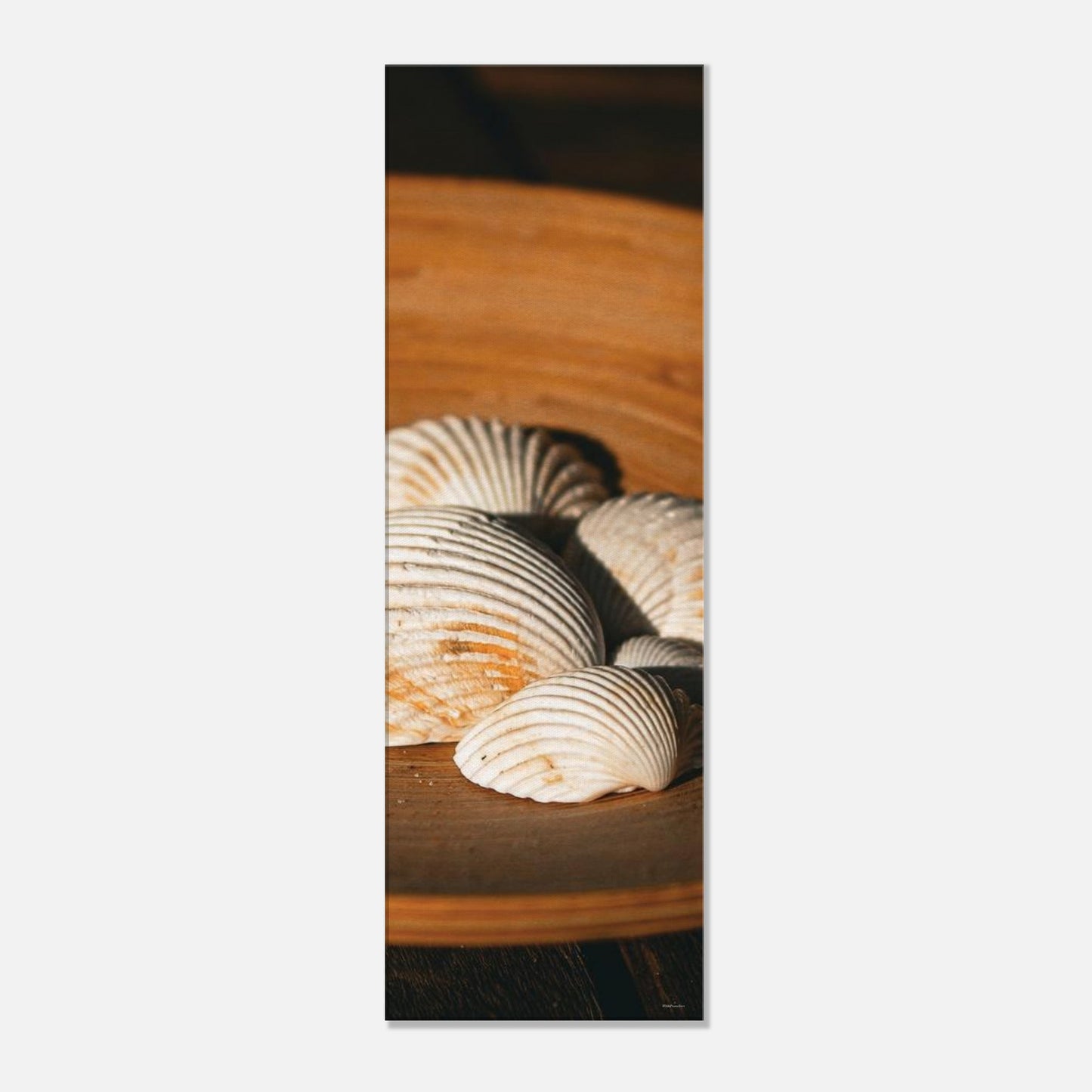 7f373040-6188-41a0-bed1-493d18bad3f8