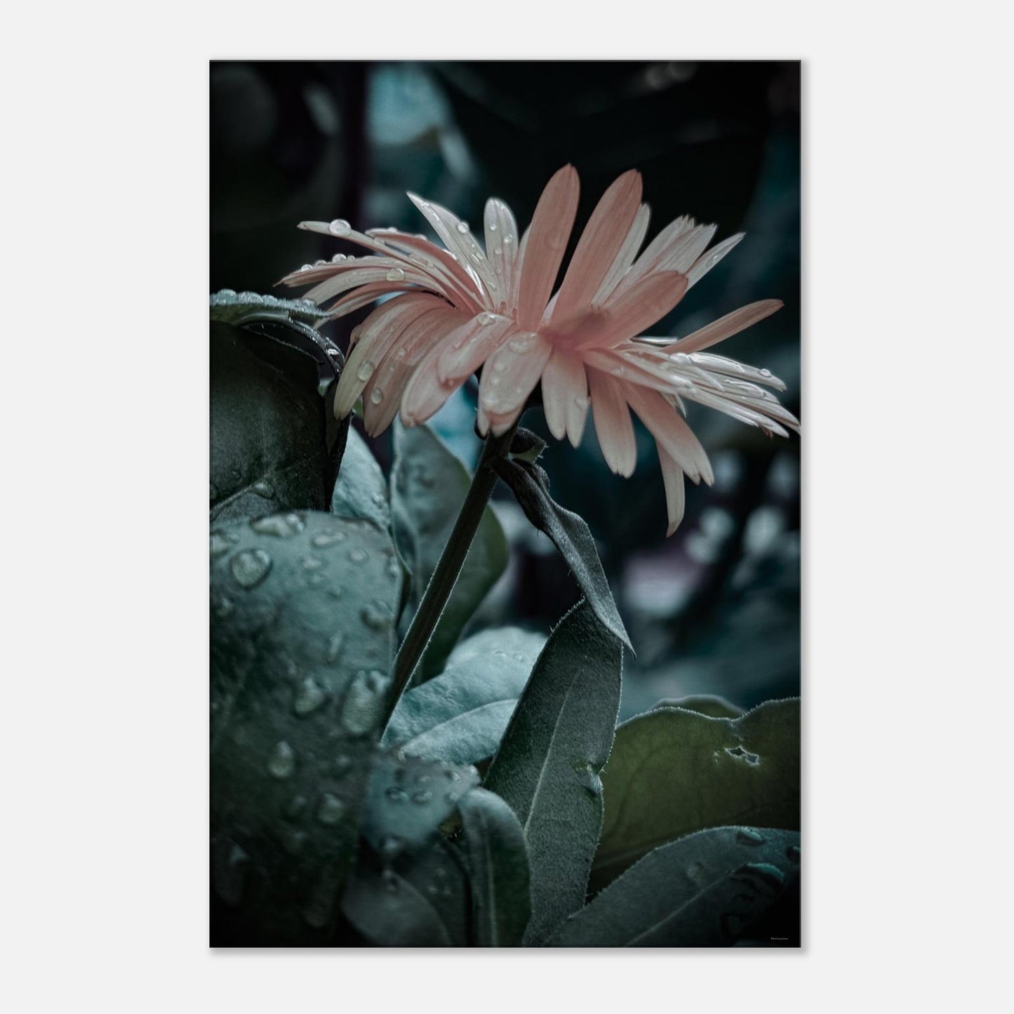 7f6396c2-a874-4af9-92f8-d60394a86a5d