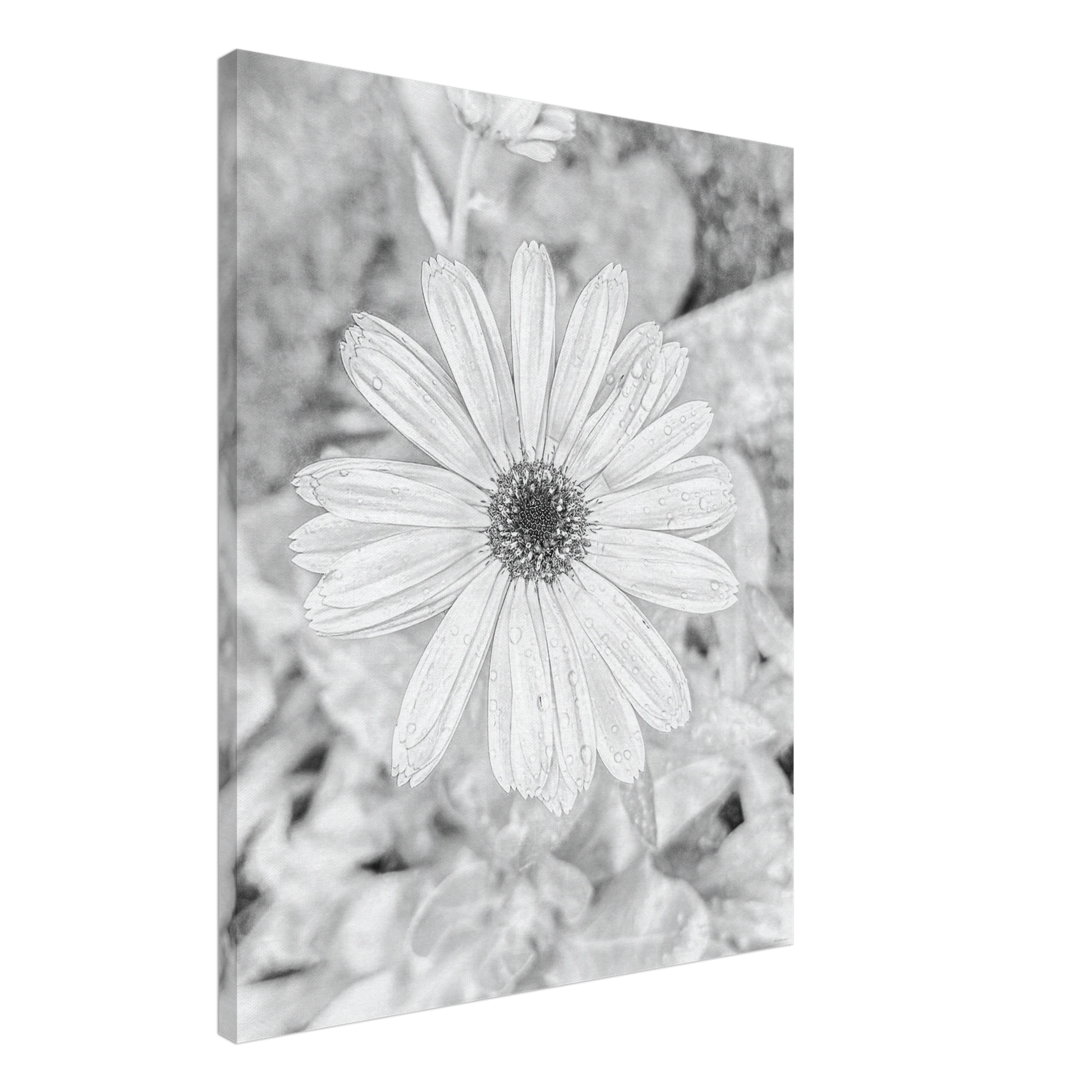 7f9d365a-1611-4c08-a38e-3393a314e045