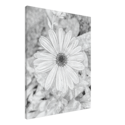 7f9d365a-1611-4c08-a38e-3393a314e045