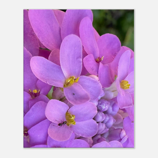 7fd512ac-81c6-4964-98dc-e697e5d85b24