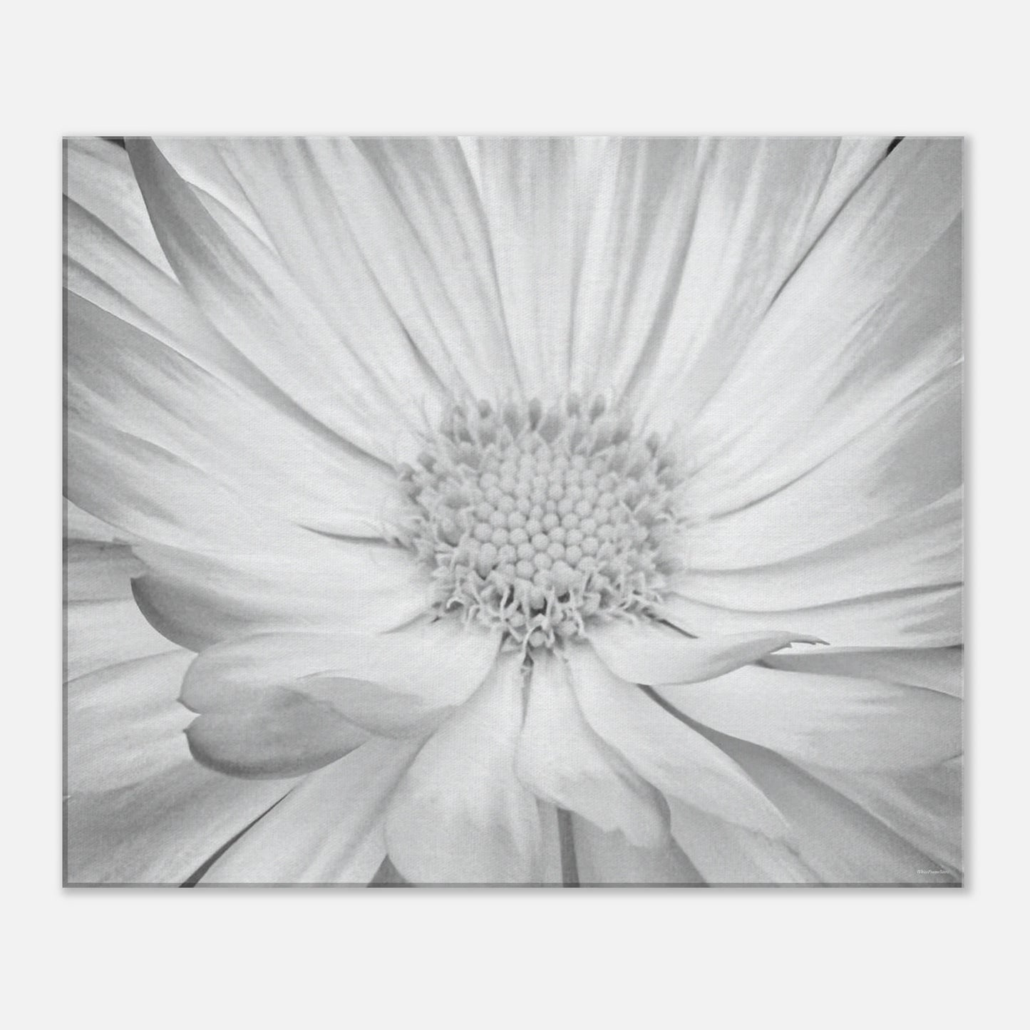 7fe15366-af36-49dc-91ad-23f9c932d31a