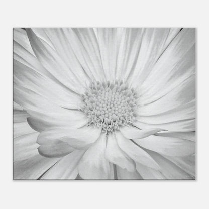 7fe15366-af36-49dc-91ad-23f9c932d31a