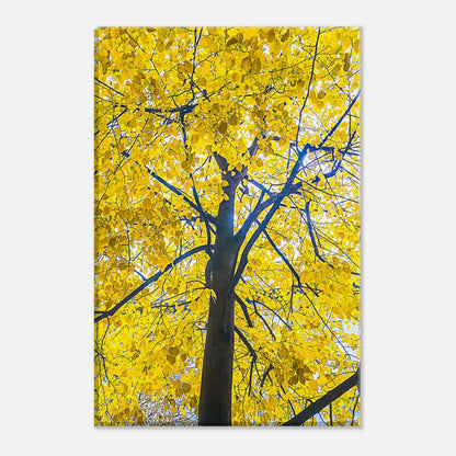 8013d8b1-11c2-4ab1-b84b-daf263fd64a7