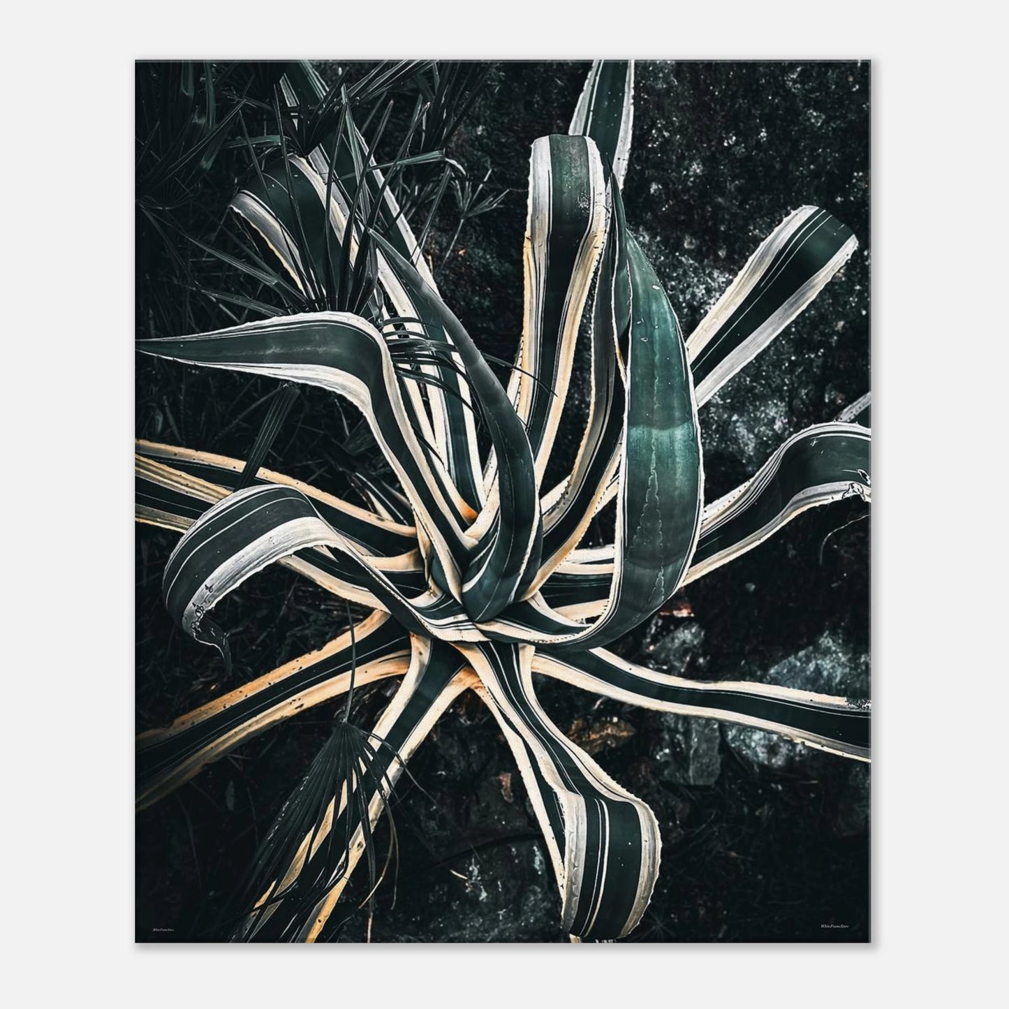 804bb390-ec04-4d4b-a451-a4d6f8b2c3f0