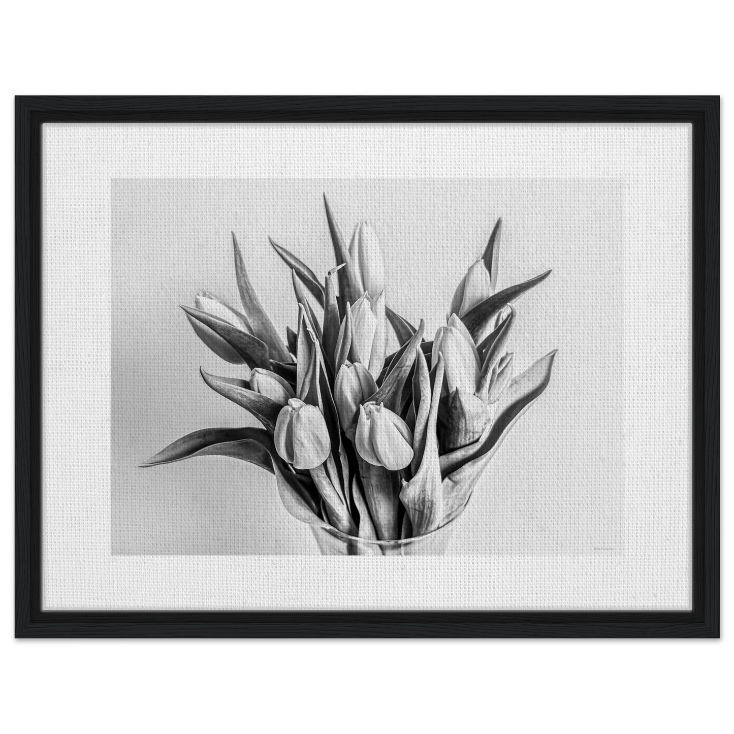 804dd79b-1bcb-4b29-bb66-c8830582b9ef