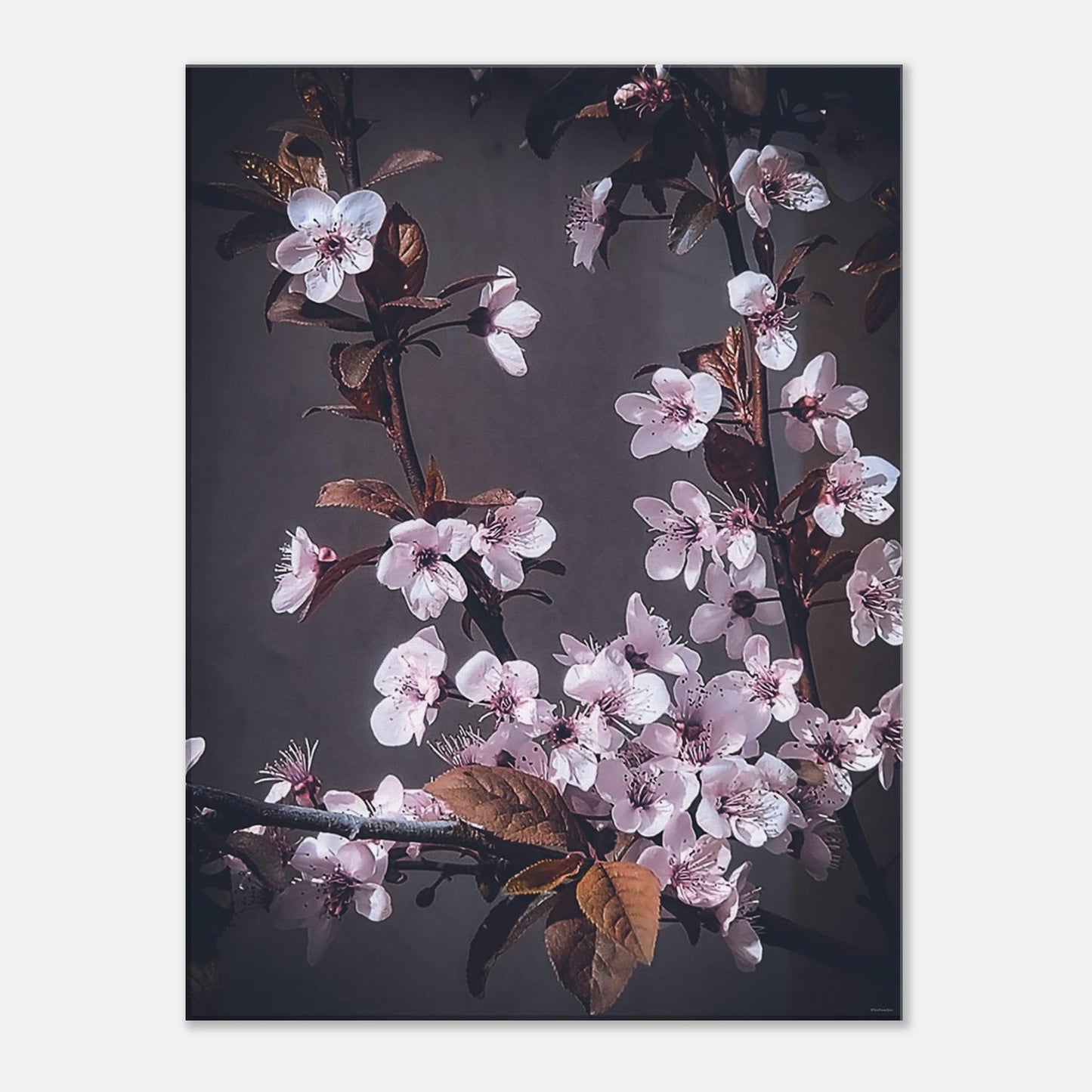 8053221c-beb4-4dd2-8c31-f0b81e364648