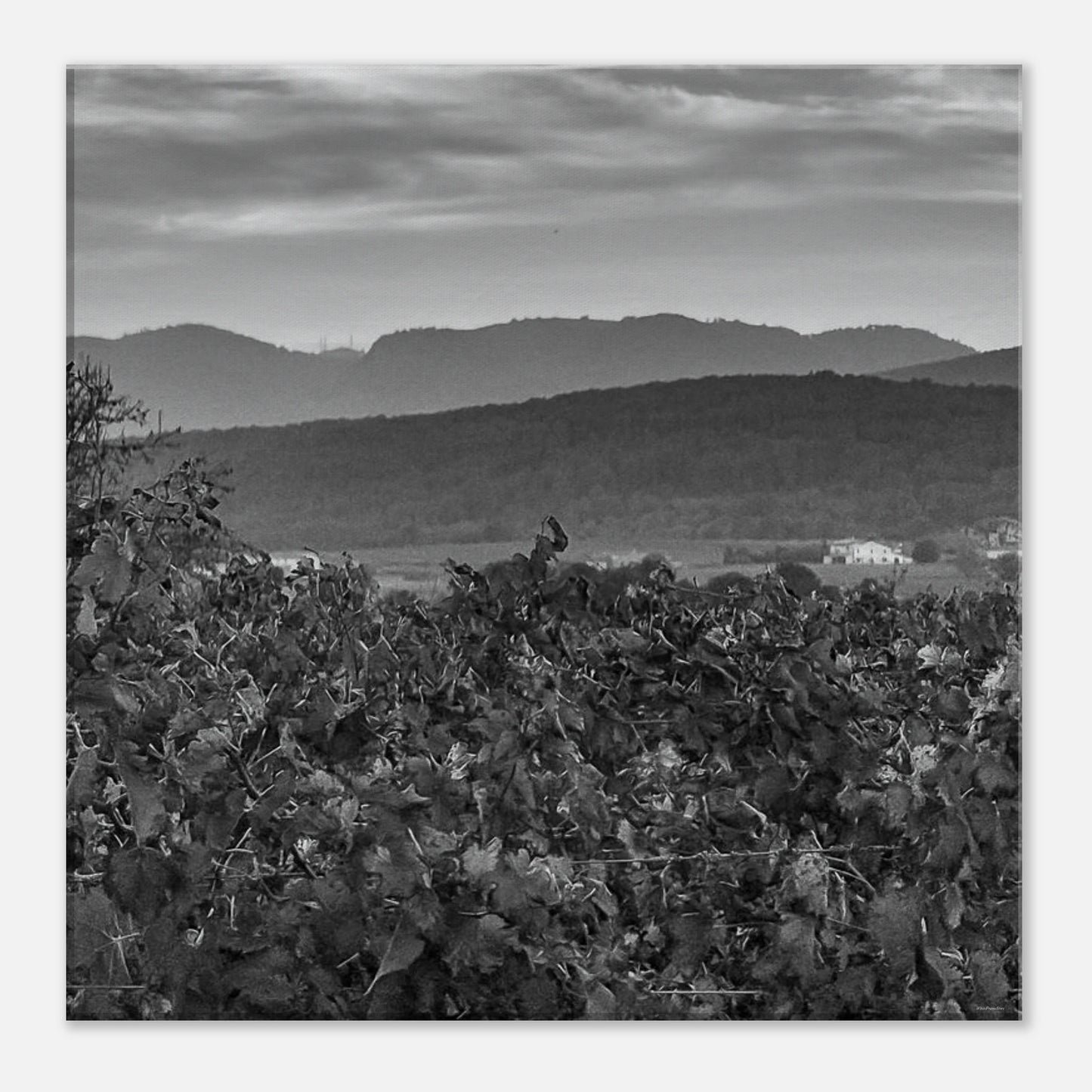 8071482a-da51-400c-8034-c9f373956675