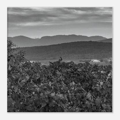 8071482a-da51-400c-8034-c9f373956675