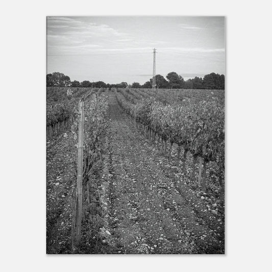 808152de-d98f-4dcc-84fc-907bbbf2daa7