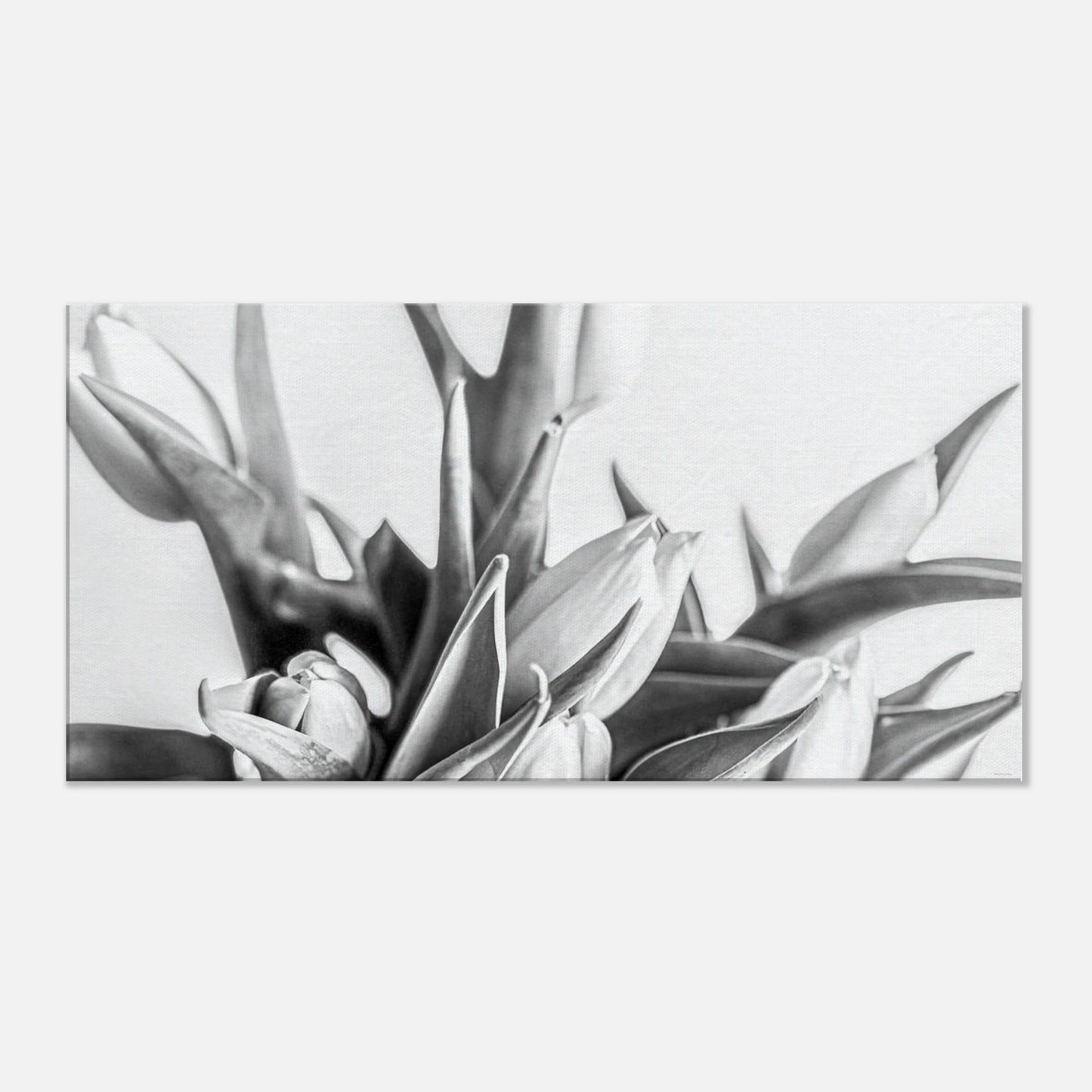 80a95a01-b7ed-42cc-95d9-78e4d09ab75a