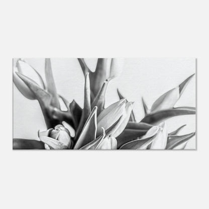 80a95a01-b7ed-42cc-95d9-78e4d09ab75a