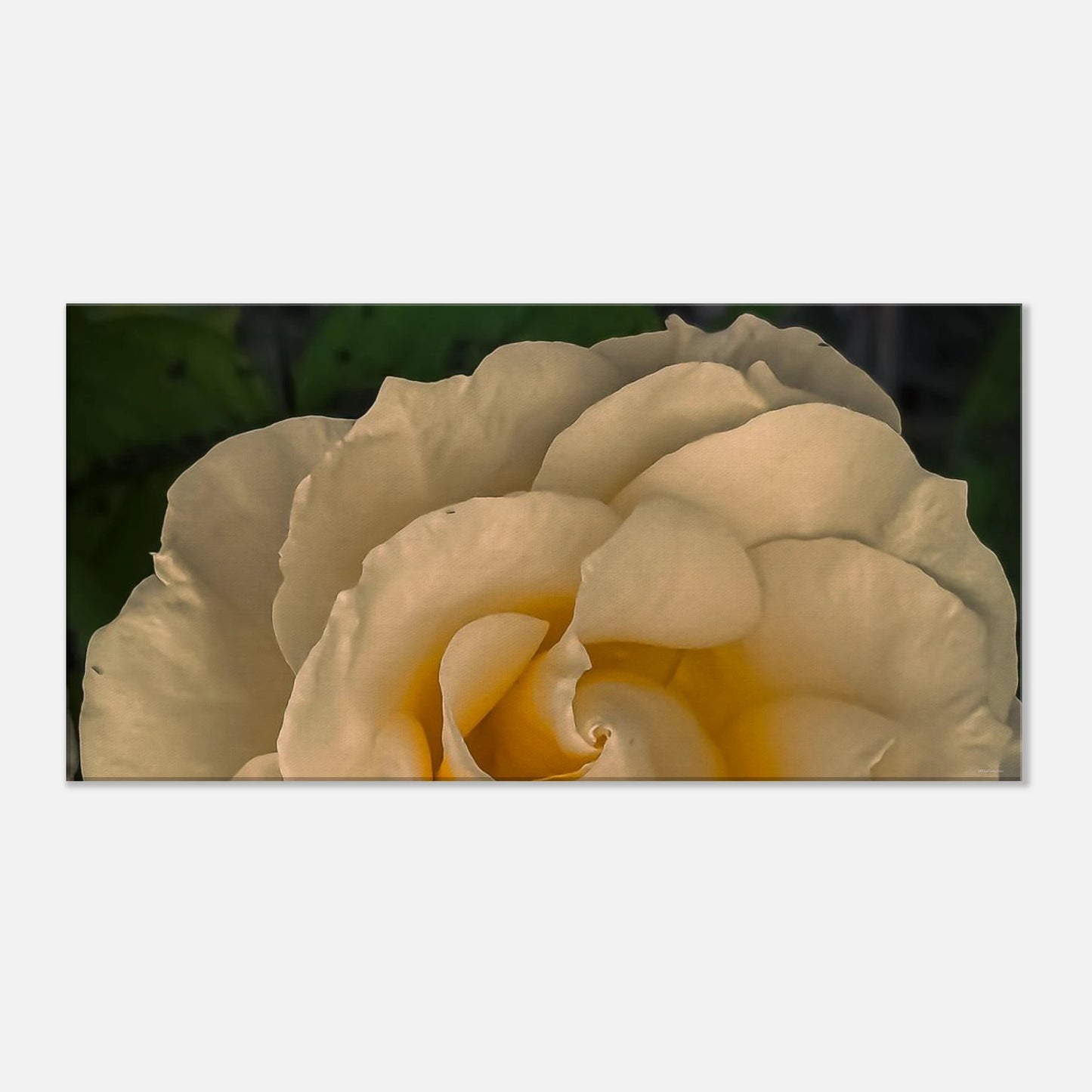 80b24126-28f6-4305-8872-0b336932a257