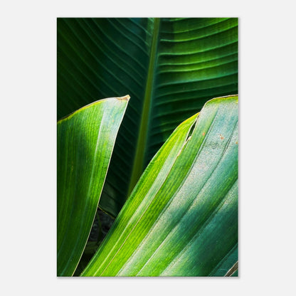 80b6e5c8-a174-4056-9af7-bcba425c8d03