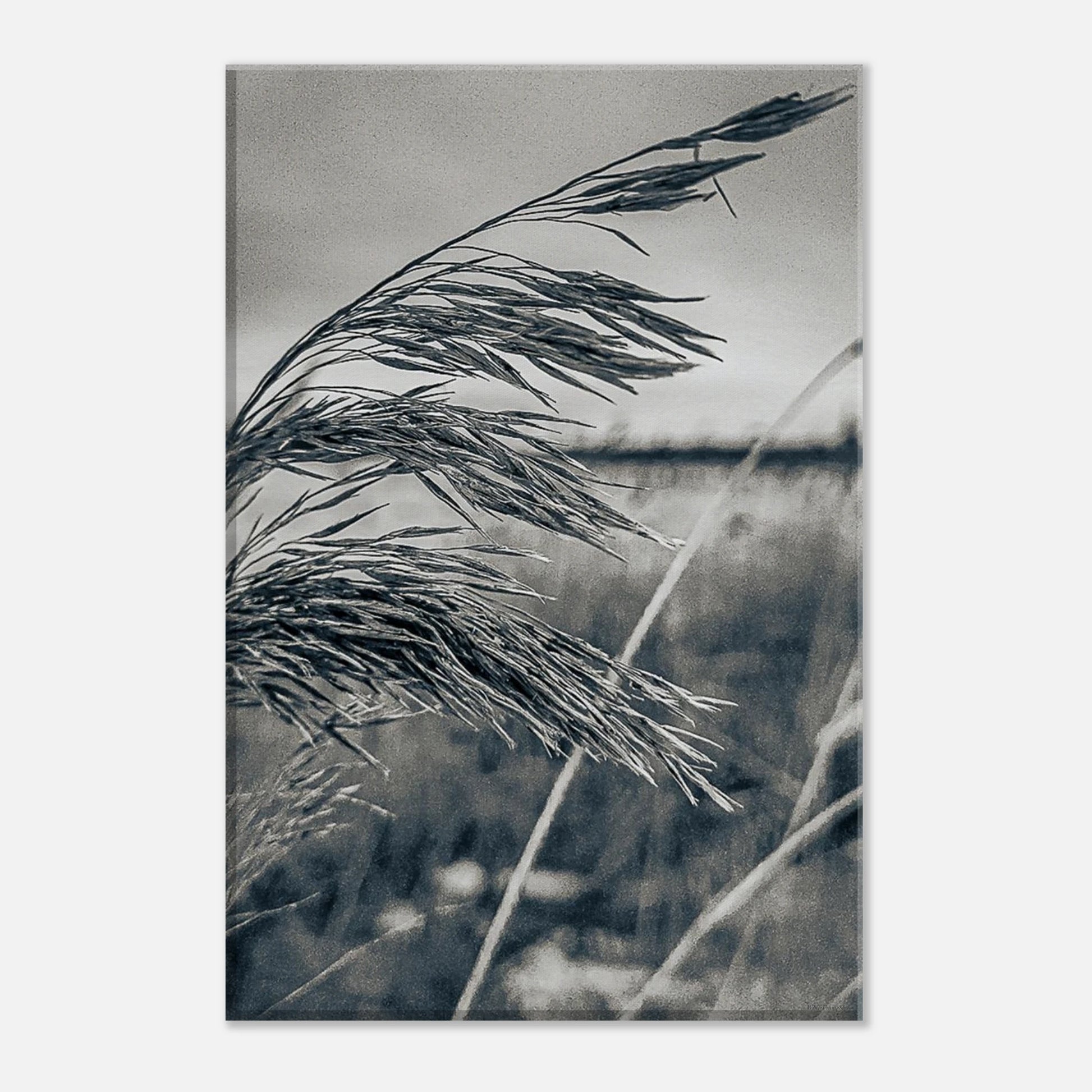 80da0100-da6f-4f90-a86c-98d21d881157