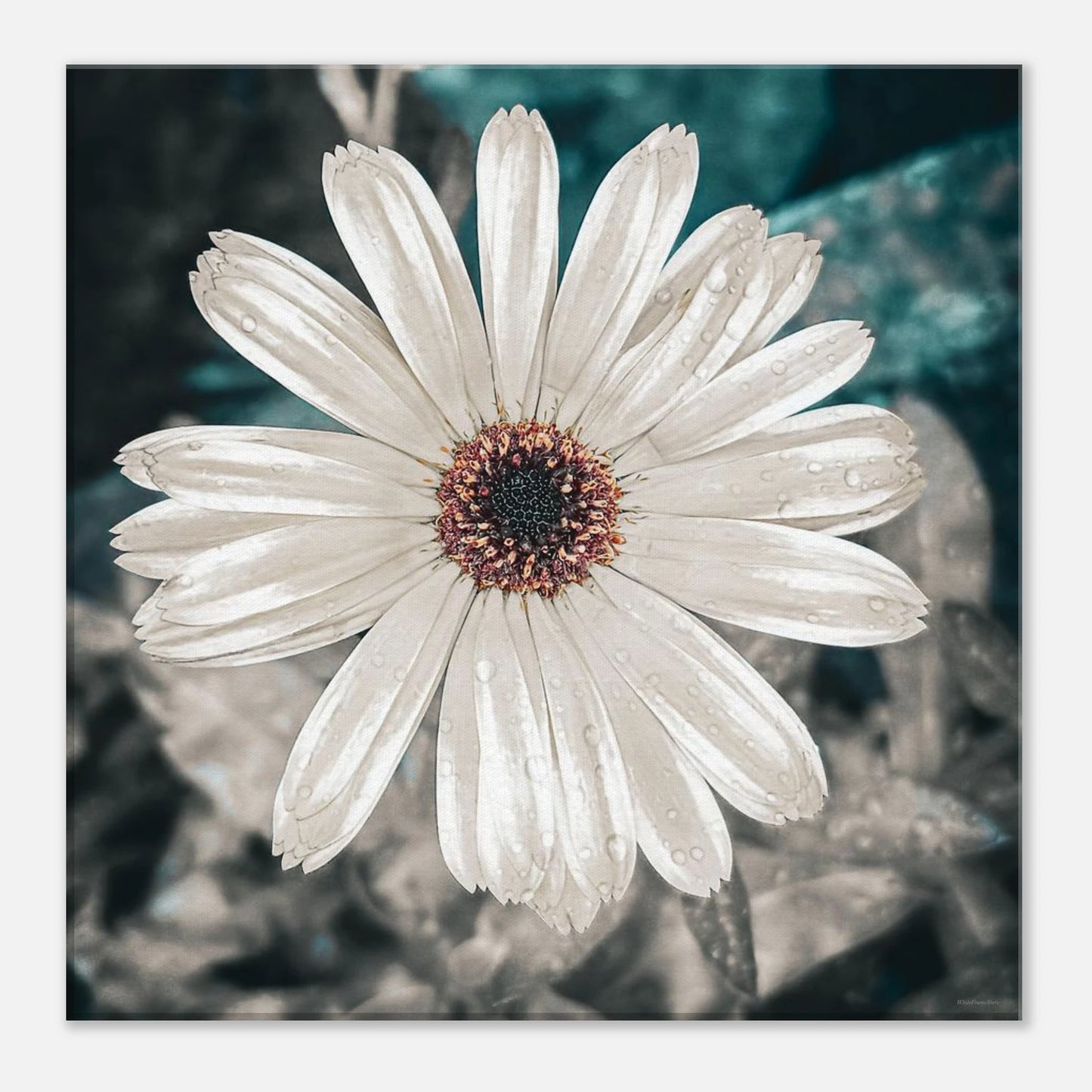 810df11a-7cc3-4334-a29a-450920b09b7d