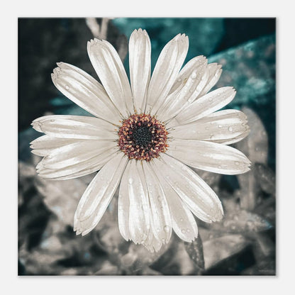 810df11a-7cc3-4334-a29a-450920b09b7d