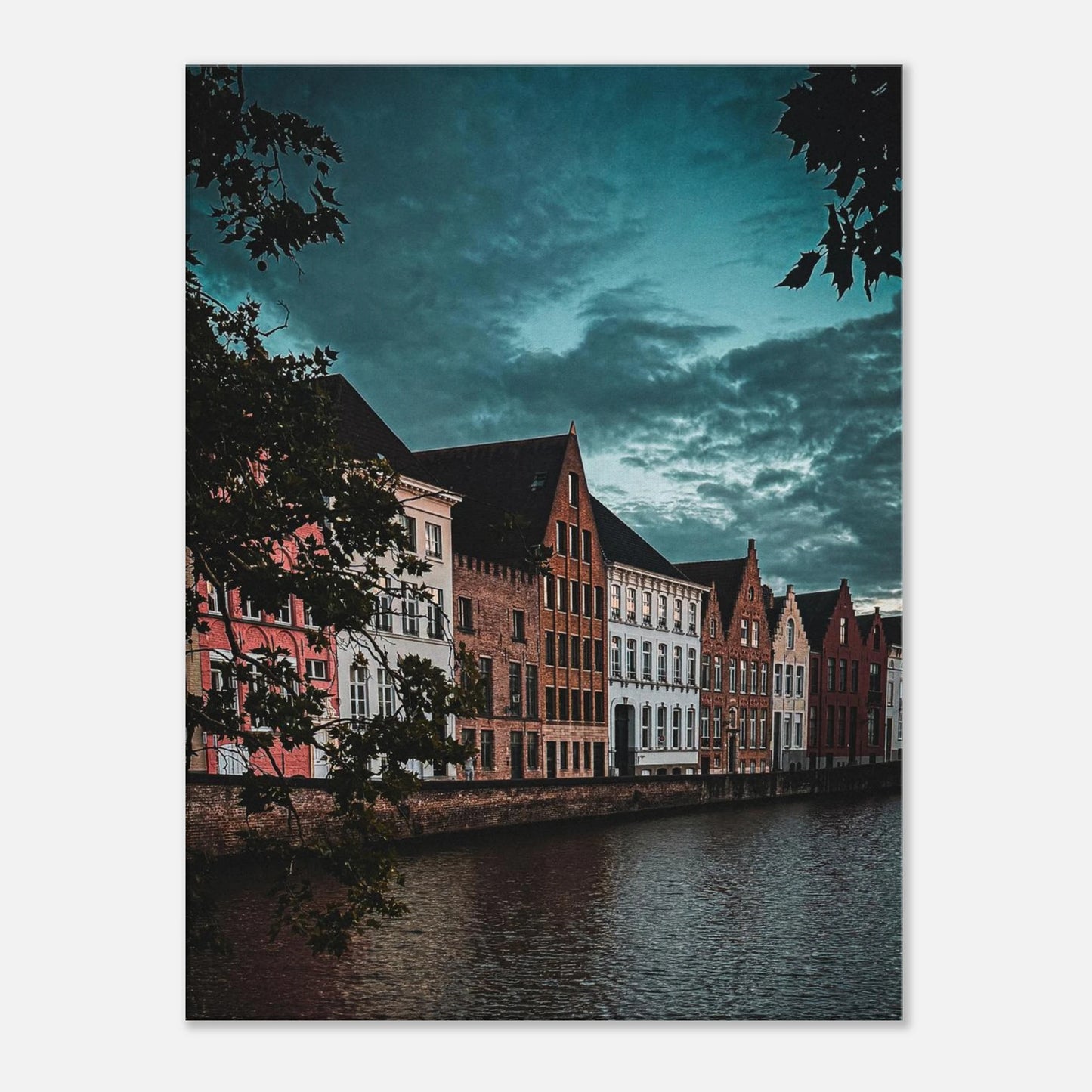 81199c04-0636-4e83-b343-dd03ff39244d