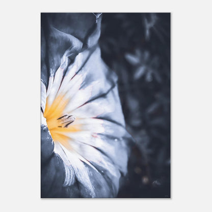 8132d655-71e2-4b5d-8c86-72ee5d038002