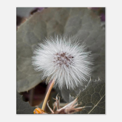 81382fbc-f120-48e5-b04e-70e2eecaeb26