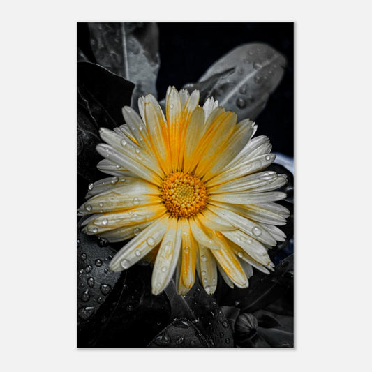 8156ced0-d66e-43db-96bf-b4dee3a6072e