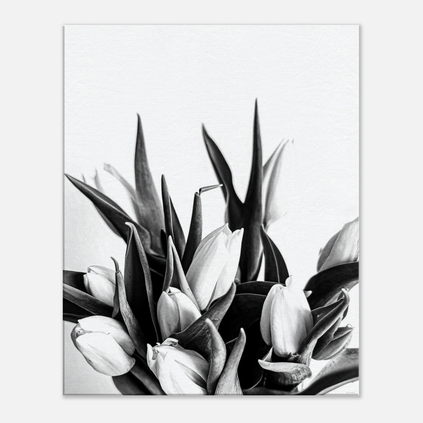 815e4e0e-cf94-48bd-90c0-2ceeaa143697