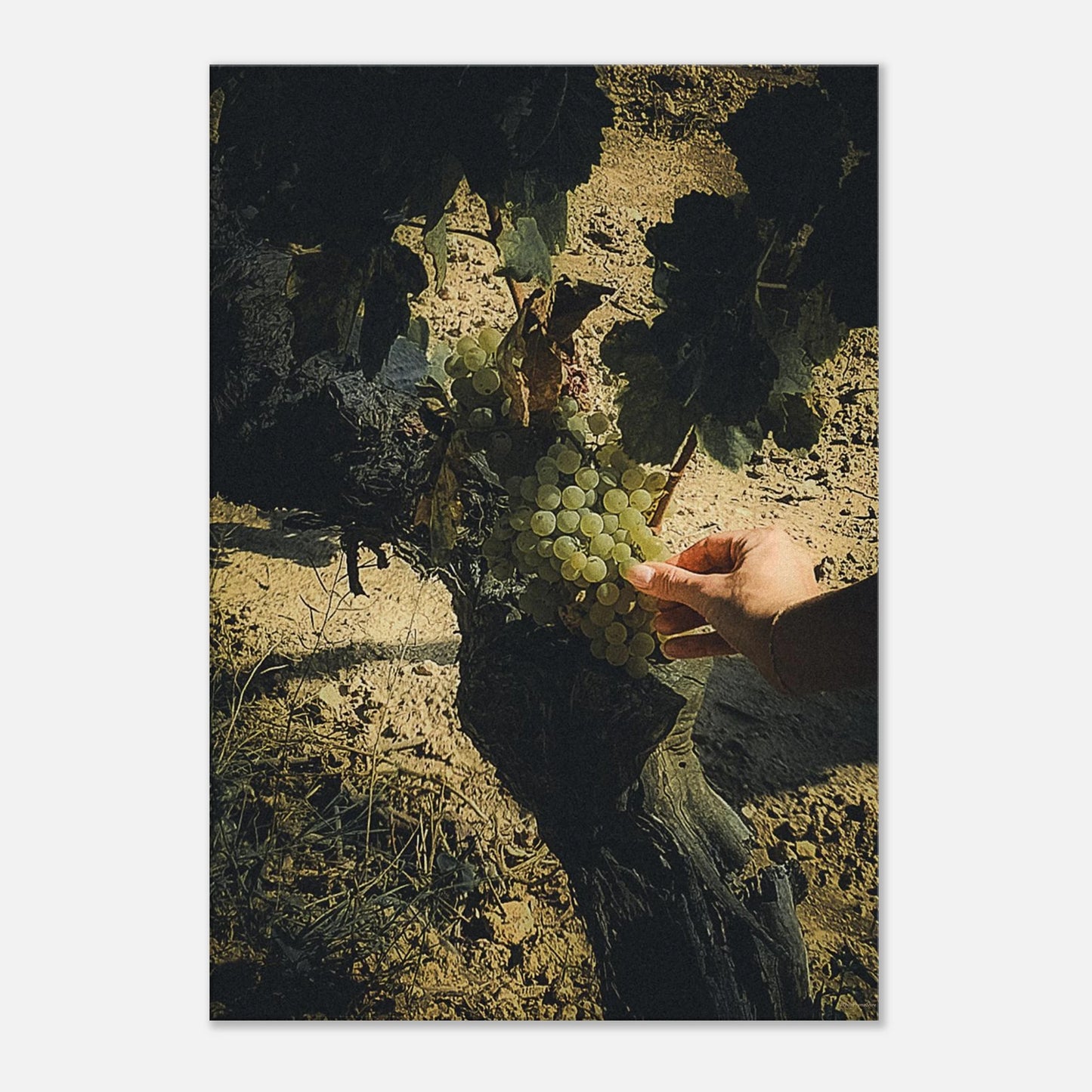 81777e9a-d535-4be6-9f89-fe4efce5b887