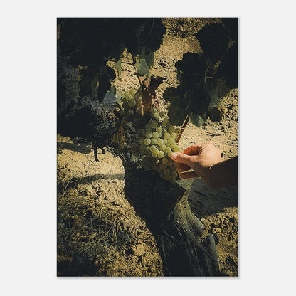 81777e9a-d535-4be6-9f89-fe4efce5b887