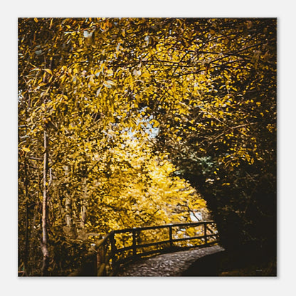 819b08a1-68c9-419b-98de-a2ca27d7b78d