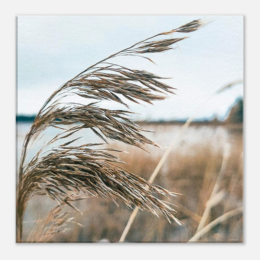 81a3cf55-808d-4ca8-a713-369670e4baa6